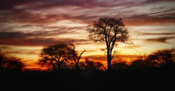 Paysage voyage Afrique du Sud voyage