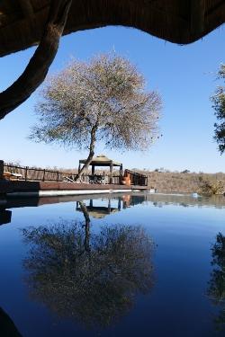 piscine Muweti Bush Lodge Afrique du Sud